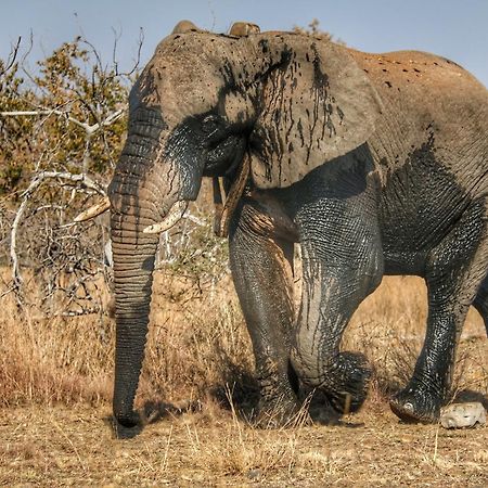 Ouklip Game Lodge Klipdrift Esterno foto