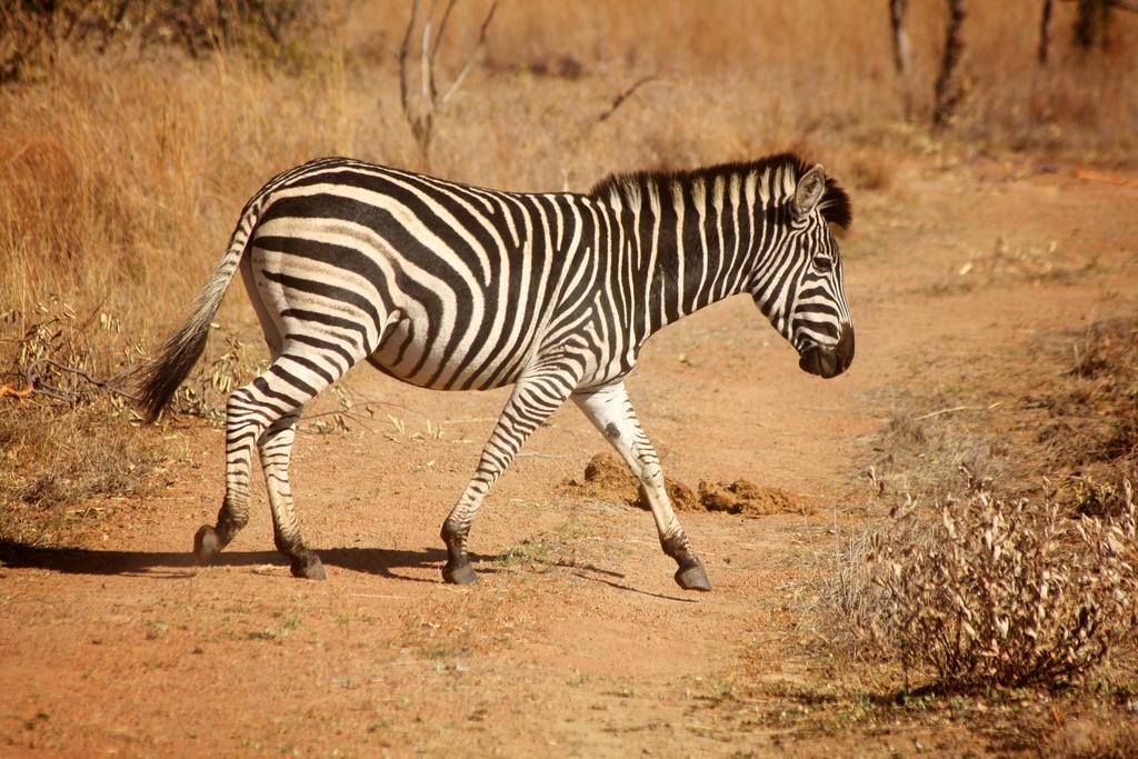 Ouklip Game Lodge Klipdrift Esterno foto