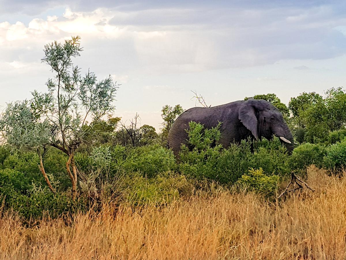 Ouklip Game Lodge Klipdrift Esterno foto